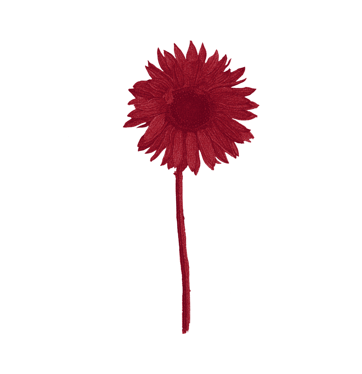 Crimson Sunflower Hoodie
