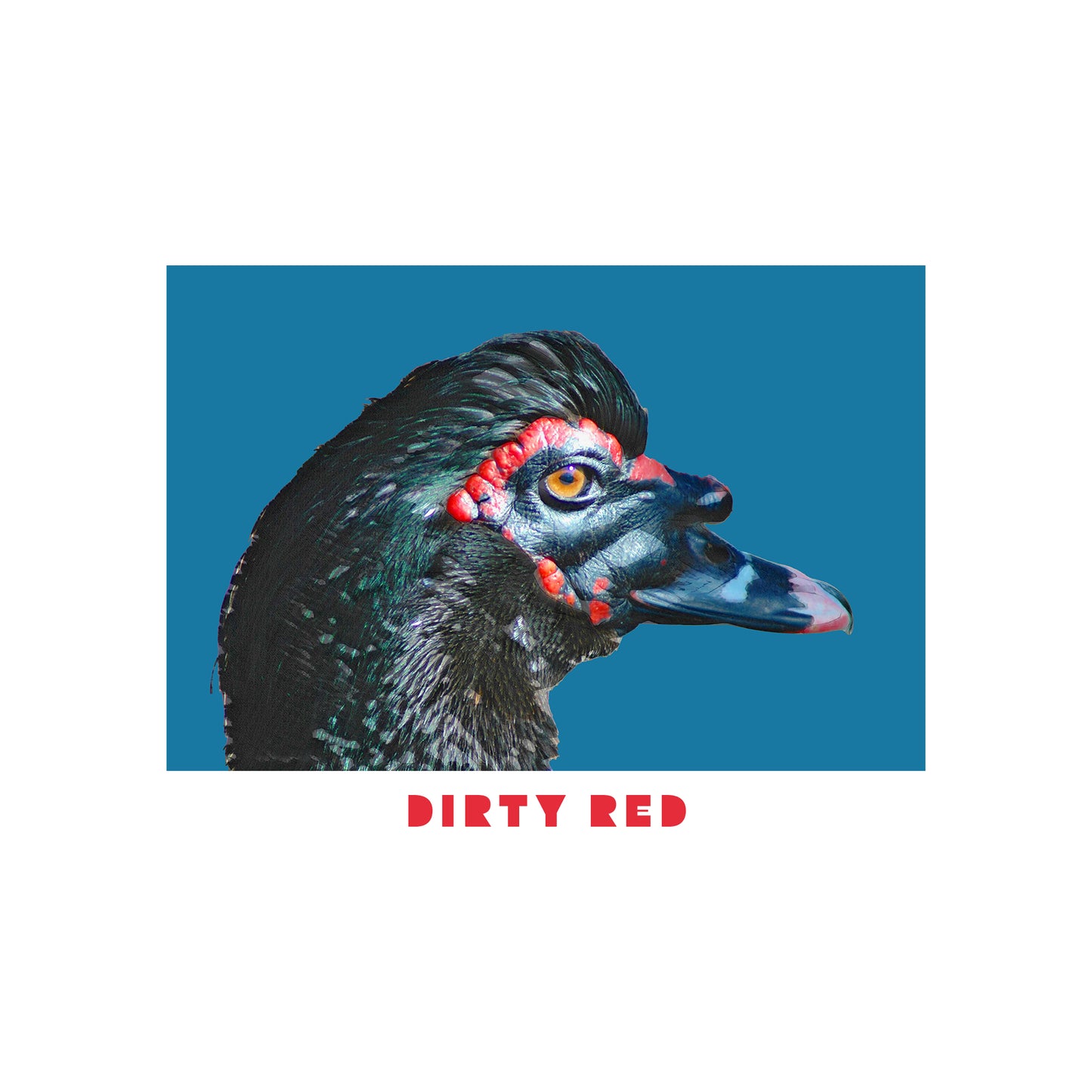 Dirty Red Hoodie