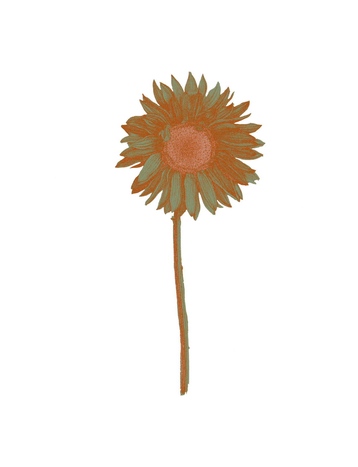 Sea Penny Sunflower Hoodie