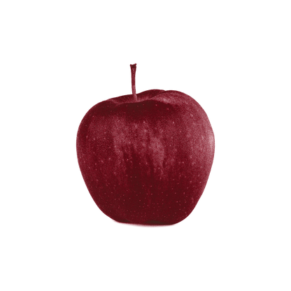 Apple Hoodie