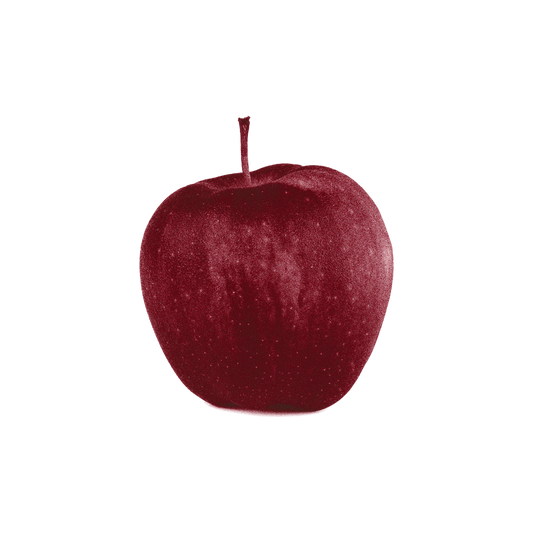 Apple Hoodie
