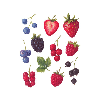 Berry & Friends t-shirt