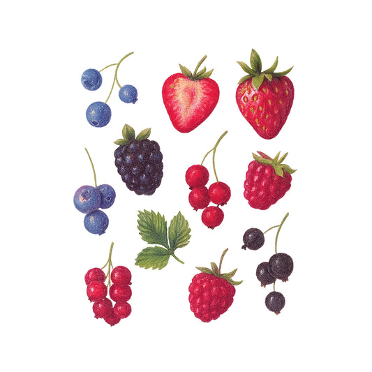 Berry & Friends t-shirt