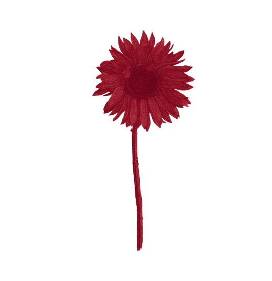Crimson Sunflower Hoodie