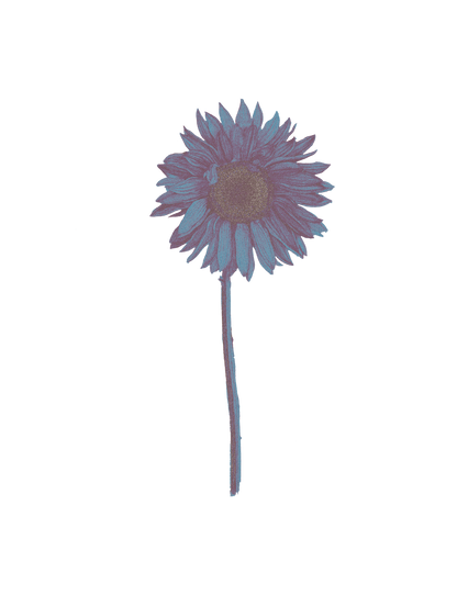 Dusty Blue Sunflower Hoodie