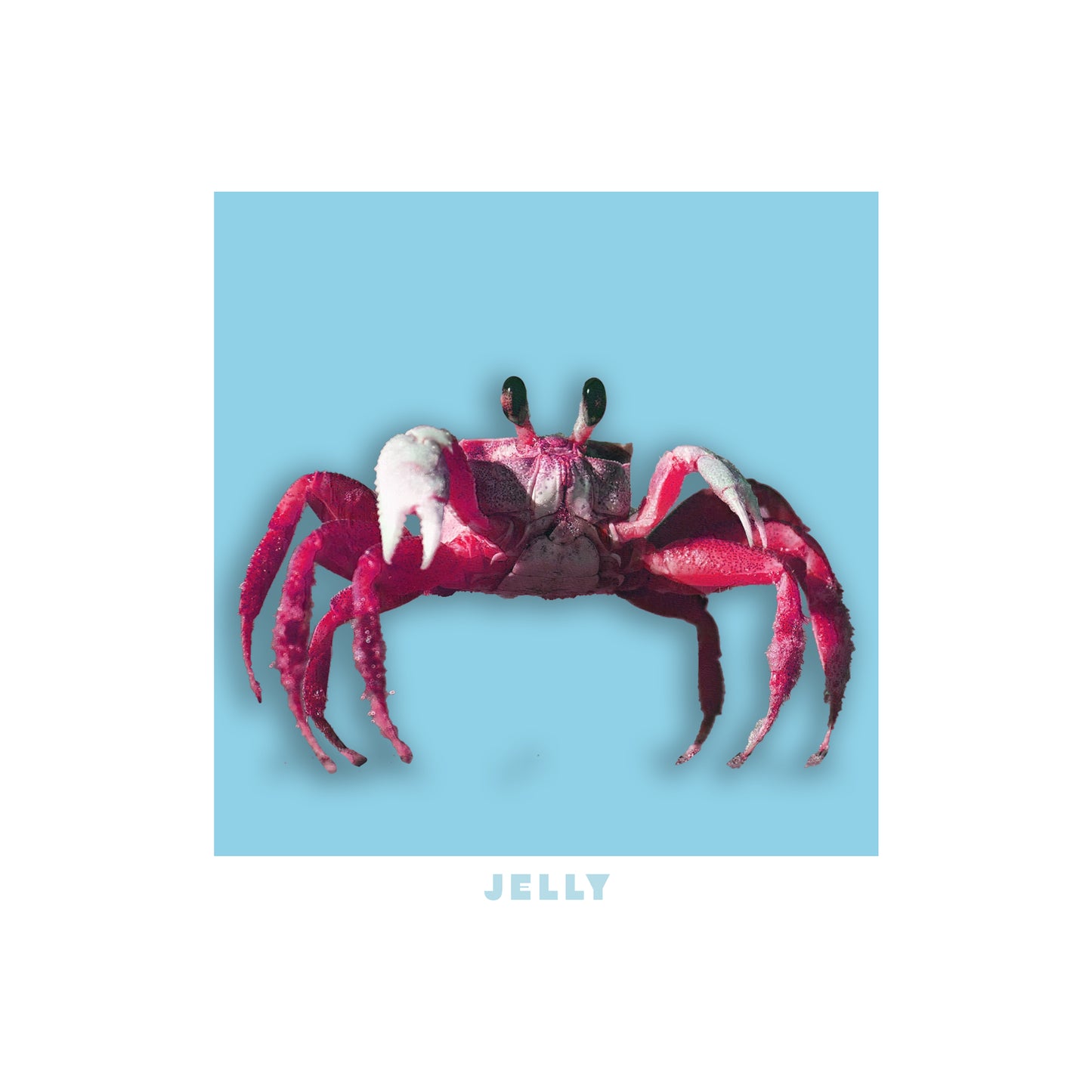 Jelly T-shirt