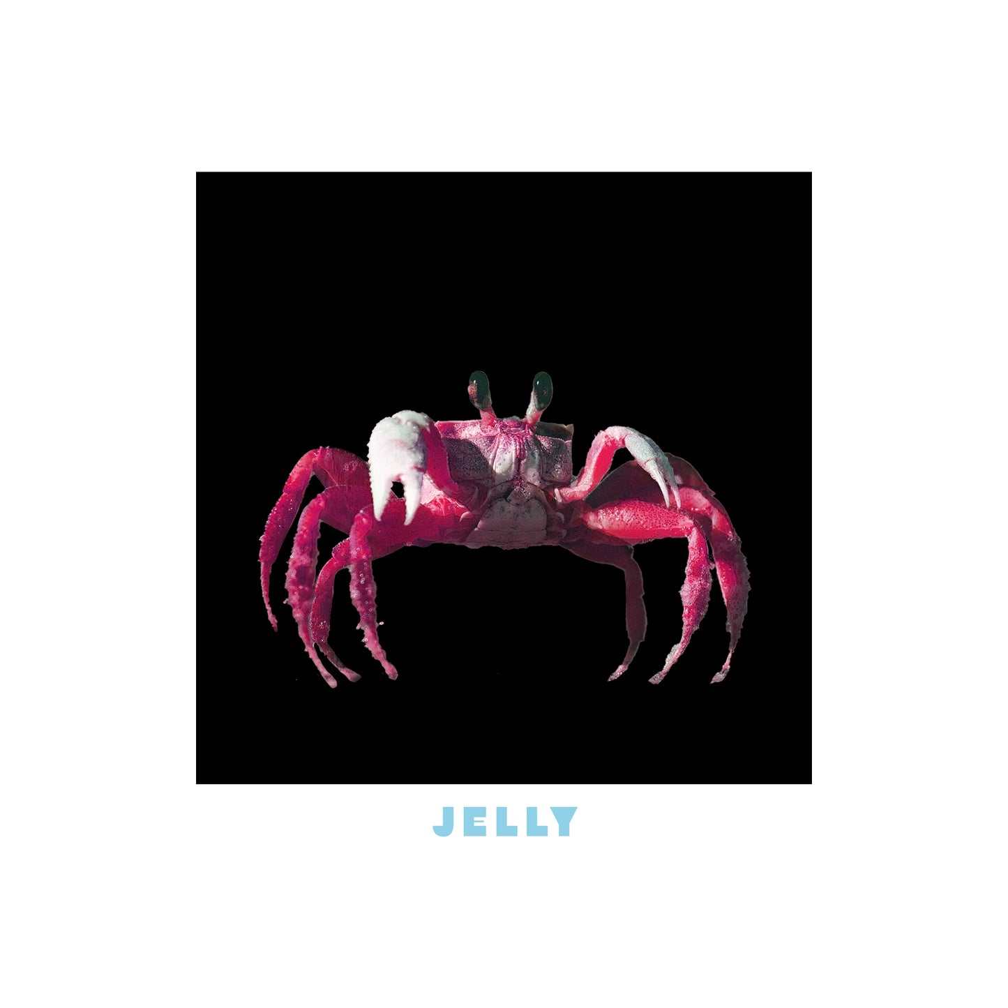 Jelly Hoodie