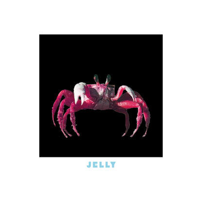 Jelly Hoodie
