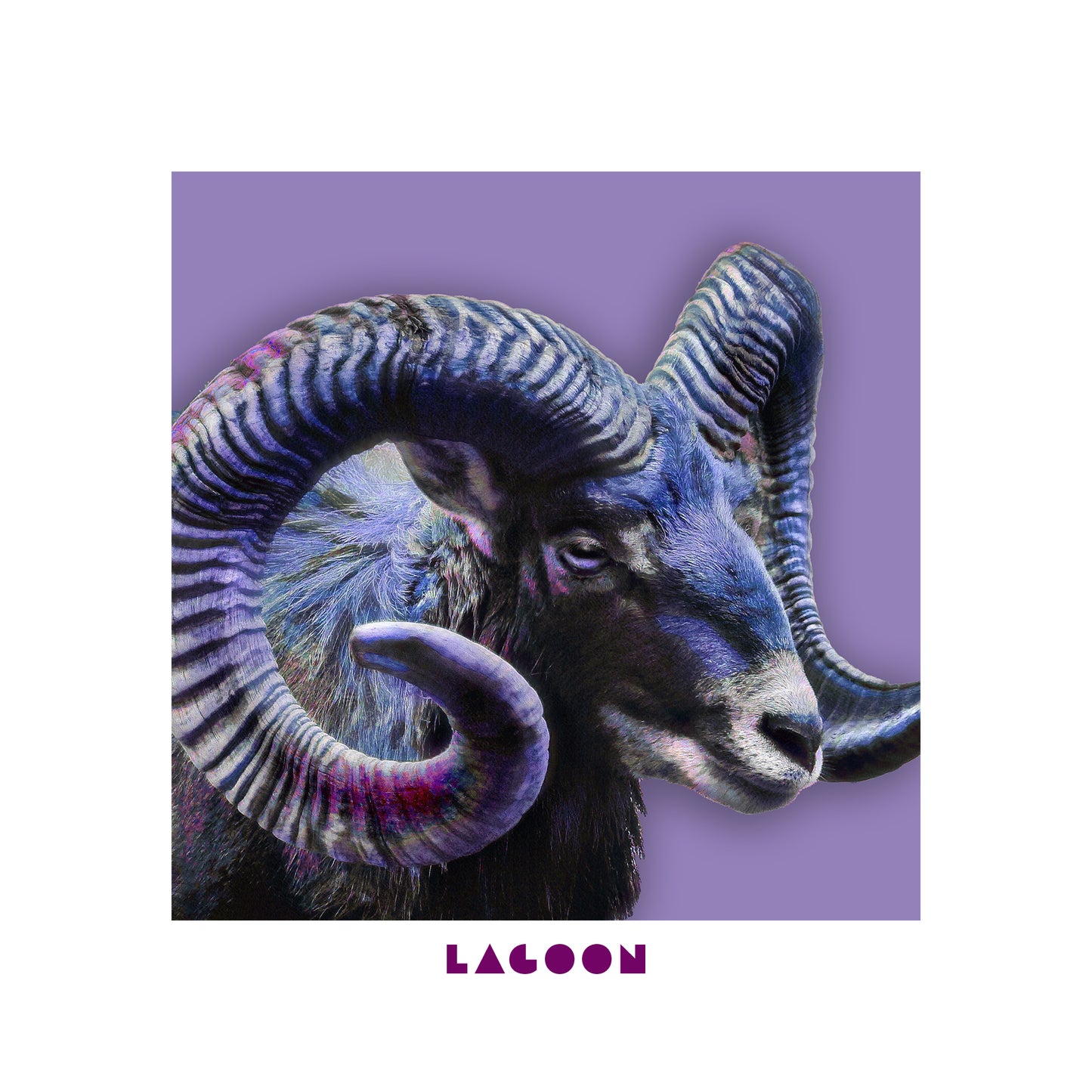 Lagoon Hoodie