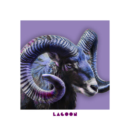 Lagoon Hoodie