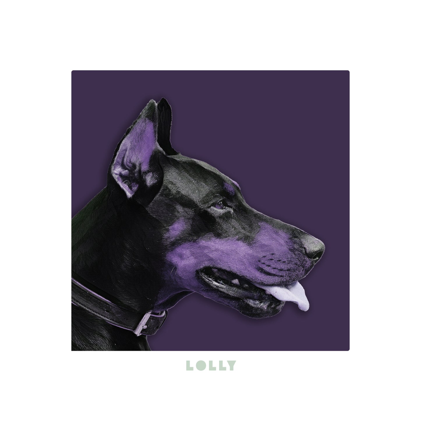 Lolly Hoodie