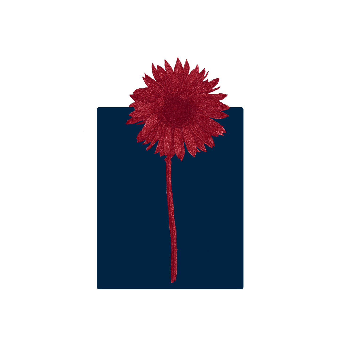 Midnight Crimson Sunflower Hoodie