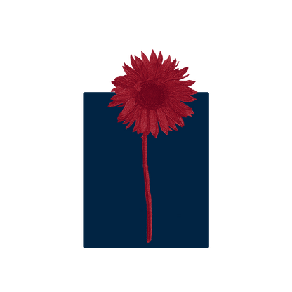 Midnight Crimson Sunflower Hoodie