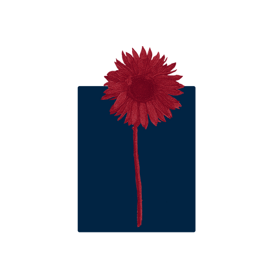 Midnight Crimson Sunflower Hoodie