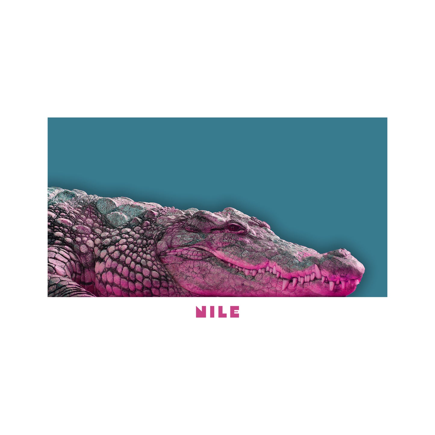 Nile Hoodie