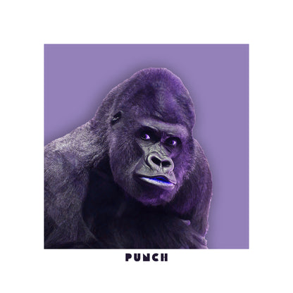 Punch Hoodie