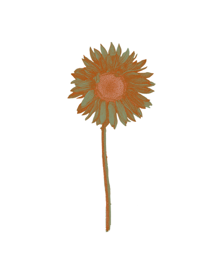Sea Penny Sunflower Hoodie
