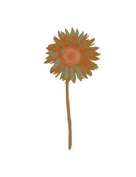 Sea Penny Sunflower Hoodie