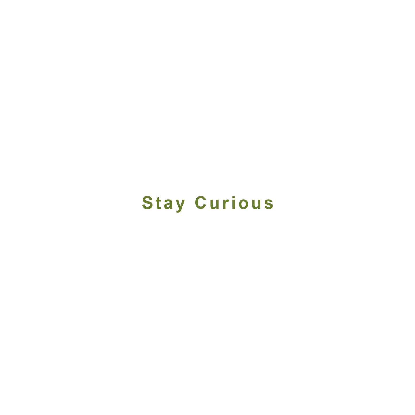 Stay Curious Hoodie