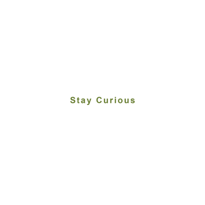 Stay Curious Hoodie