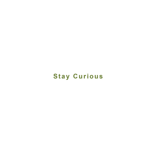 Stay Curious Hoodie